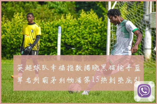 英超球队幸福指数揭晓黑猫枪手蓝军名列前茅利物浦第15热刺垫底引关注