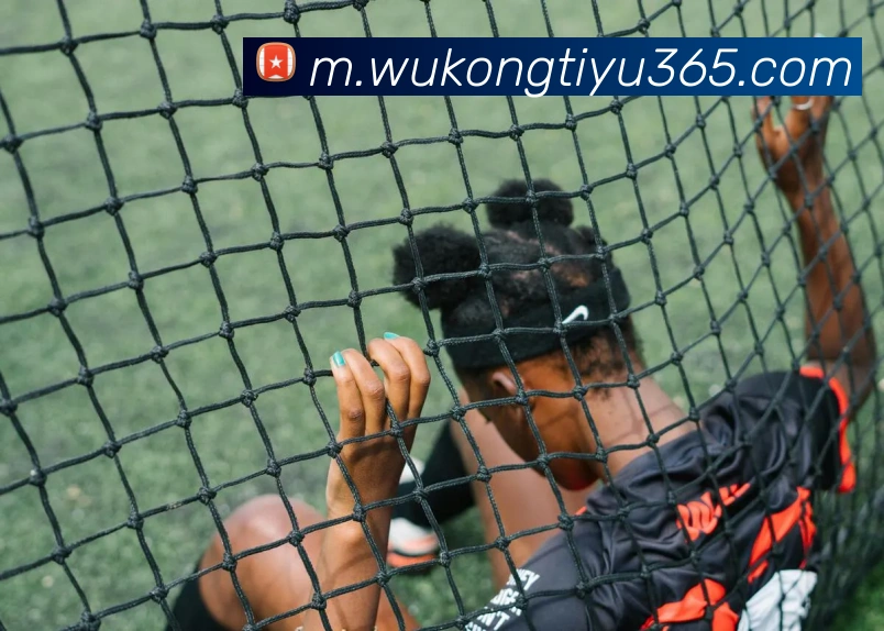 悟空体育平台生态图