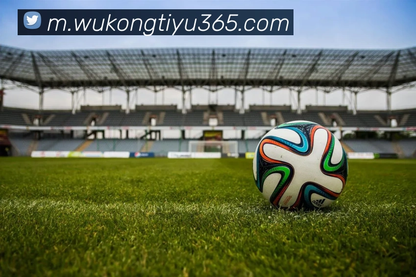 悟空体育APP 封面图